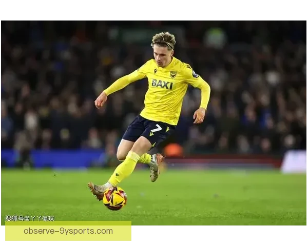 卡迪夫城足球俱乐部历史回顾与未来发展展望